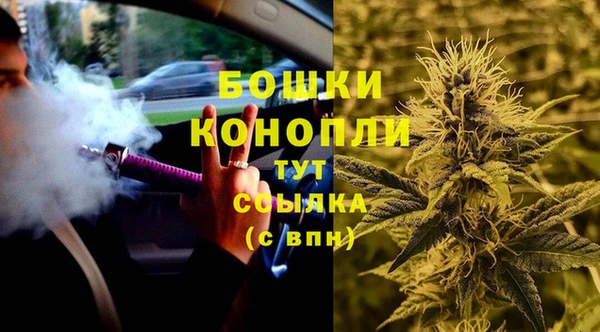 сатива Арсеньев