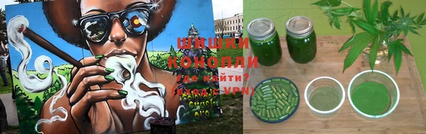 трава Беломорск