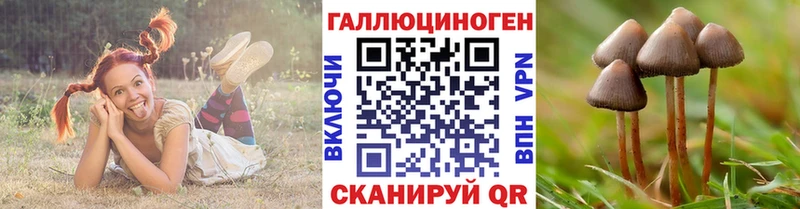 хочу наркоту  Кинель  Псилоцибиновые грибы GOLDEN TEACHER 